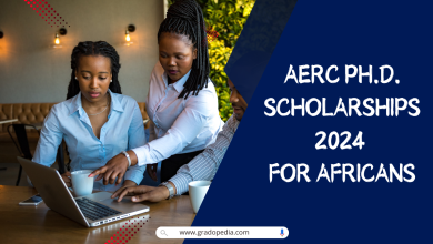 AERC Ph.D. Scholarships 2024 for Africans