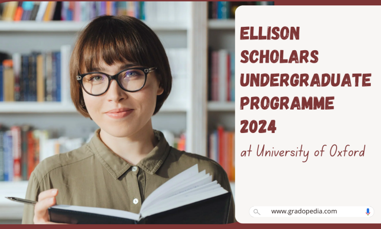 Ellison Scholars Undergraduate Programme 2024 at The University of Oxford