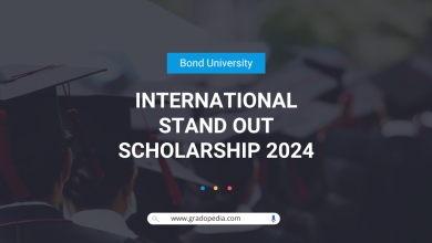 International Stand Out Scholarship 2024