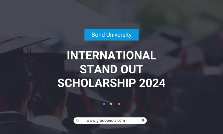 International Stand Out Scholarship 2024