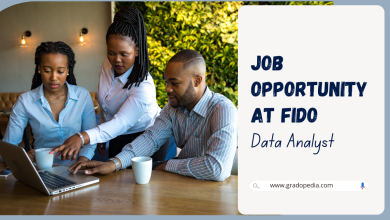 Job Opportunity at Fido - Data Analyst