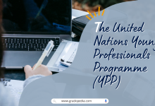 The United Nations Young Professionals Programme (YPP)