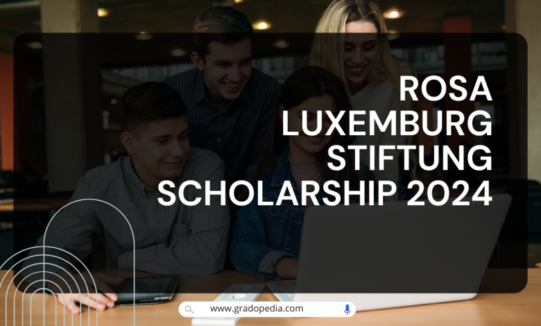 RosA Luxemburg Stiftung Scholarship 2024